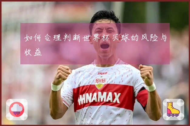 如何合理判断世界杯买球的风险与收益