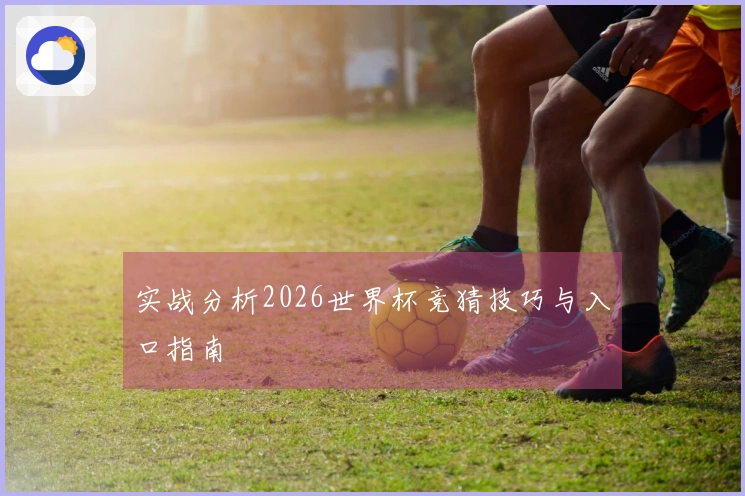 实战分析2026世界杯竞猜技巧与入口指南
