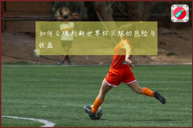 如何合理判断世界杯买球的风险与收益