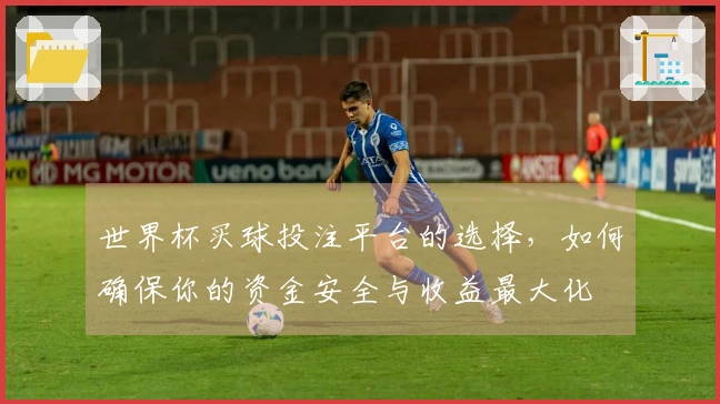 世界杯买球投注平台的选择，如何确保你的资金安全与收益最大化