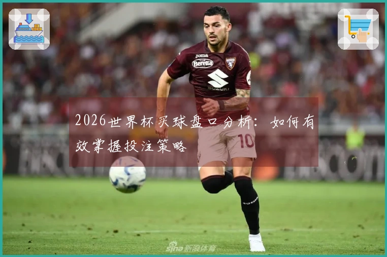 2026世界杯买球盘口分析：如何有效掌握投注策略