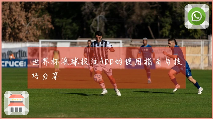 世界杯滚球投注App的使用指南与技巧分享