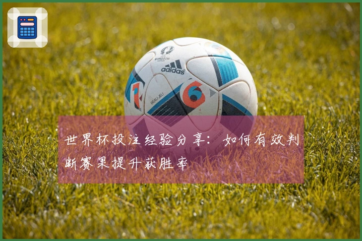 世界杯投注经验分享：如何有效判断赛果提升获胜率