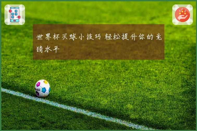世界杯买球小技巧 轻松提升你的竞猜水平