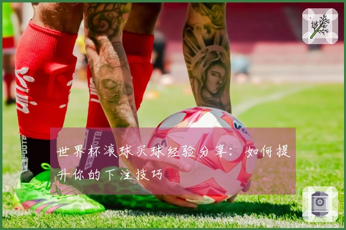世界杯滚球买球经验分享：如何提升你的下注技巧