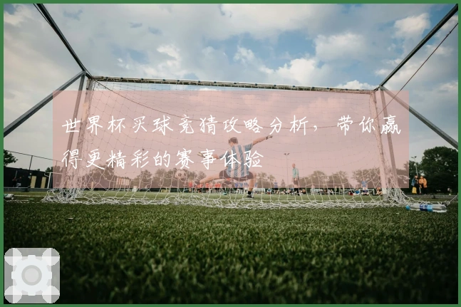 世界杯买球竞猜攻略分析，带你赢得更精彩的赛事体验
