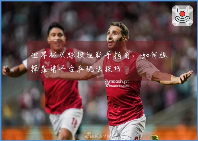 世界杯买球投注新手指南，如何选择靠谱平台和玩法技巧
