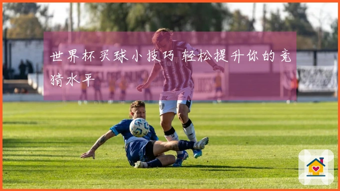 世界杯买球小技巧 轻松提升你的竞猜水平