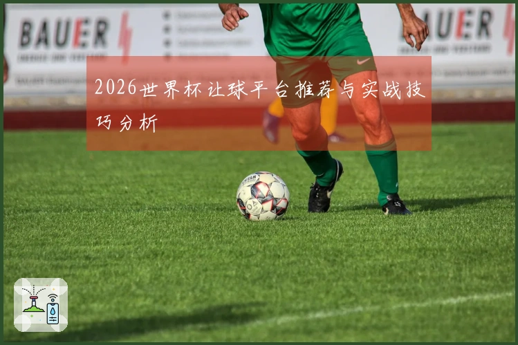 2026世界杯让球平台推荐与实战技巧分析