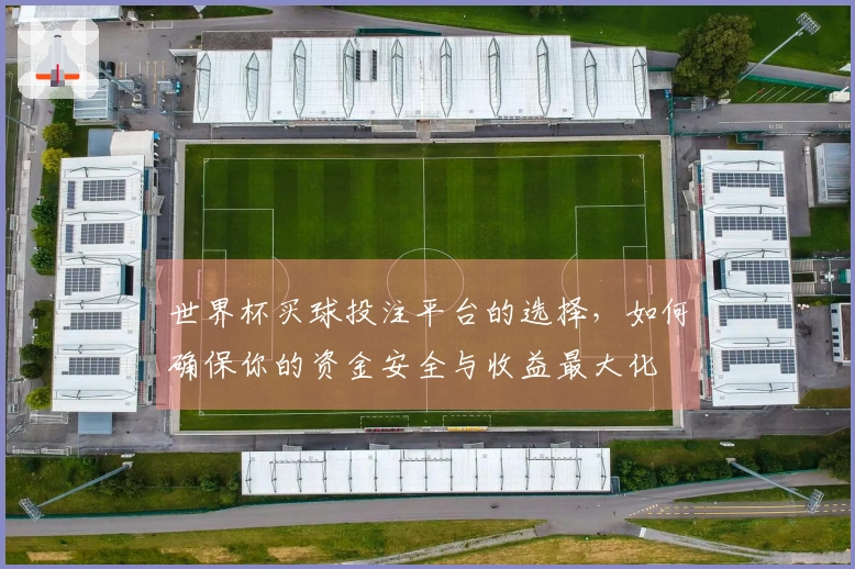 世界杯买球投注平台的选择，如何确保你的资金安全与收益最大化