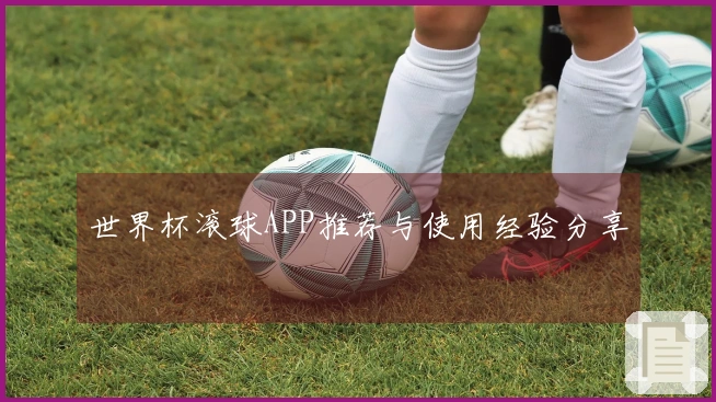 世界杯滚球APP推荐与使用经验分享